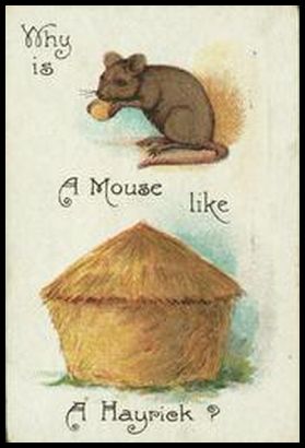 3 Why is a mouse like a hayrick